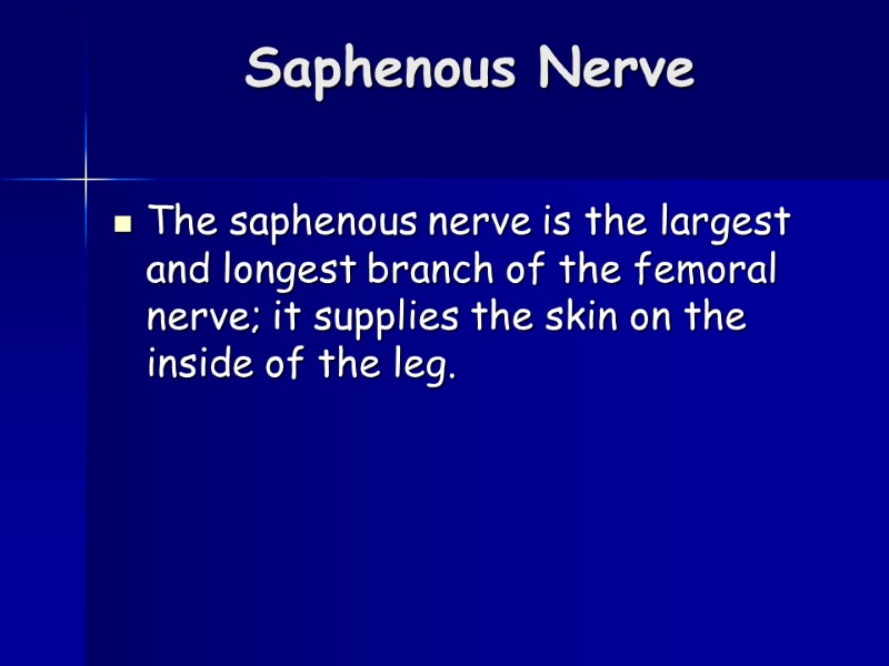 Saphenous Nerve  The saphenous nerve is the largest and longest branch of the